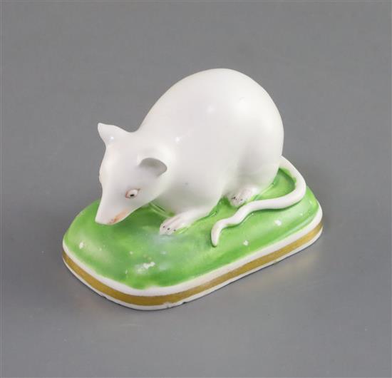 A Derby porcelain figure of a recumbent white mouse, c.1825-35, L. 6.5cm